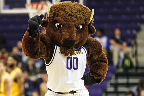 Lipscomb bison sports team mascot
